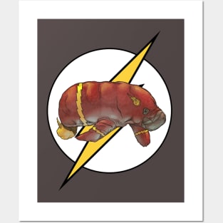 Flash Posters and Art